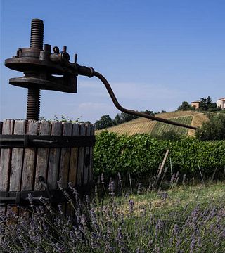 Degustação de vinhos e tour em La Costanza