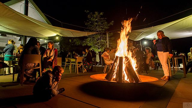 Dégustation de vins et visite de la cave Etyeki Kúria