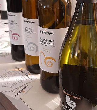 Terrantiqua Winery