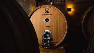 Experiência de degustação de vinhos com almoço na Casa Setaro