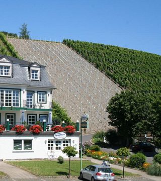 Visita e Degustazione presso Weingut P.Stettler