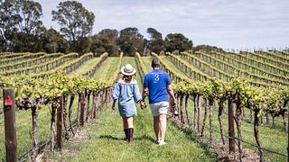 Paisley Wines