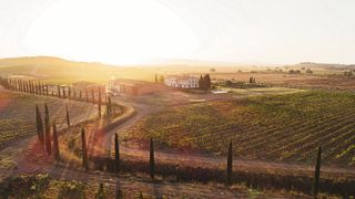Fertuna no terraço em Tenuta Fertuna