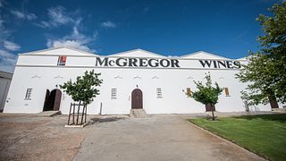 Dégustation de vins et visite du vignoble Mcgregor