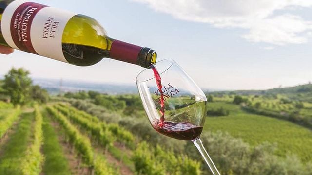 Degustação de vinhos e tour na Villa Spinosa