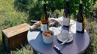 Wine Tasting in the Heart of Vézelay