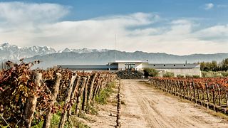 Mevi Winery