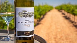 Castilla y León Wine Journey at Finca Montepedroso