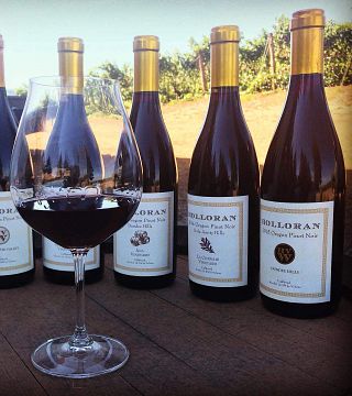 Weinprobe und Tour bei Holloran Vineyard Wines