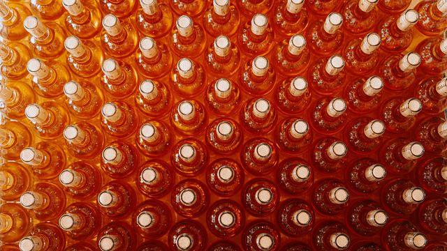 Degustazione di vini e visita a Mas Alart