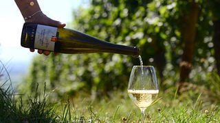 Dégustation et visite de cave au Domaine Saint Remy