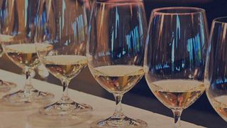 Upper Hungary Wine & Vineyard Escape at Ludanyi