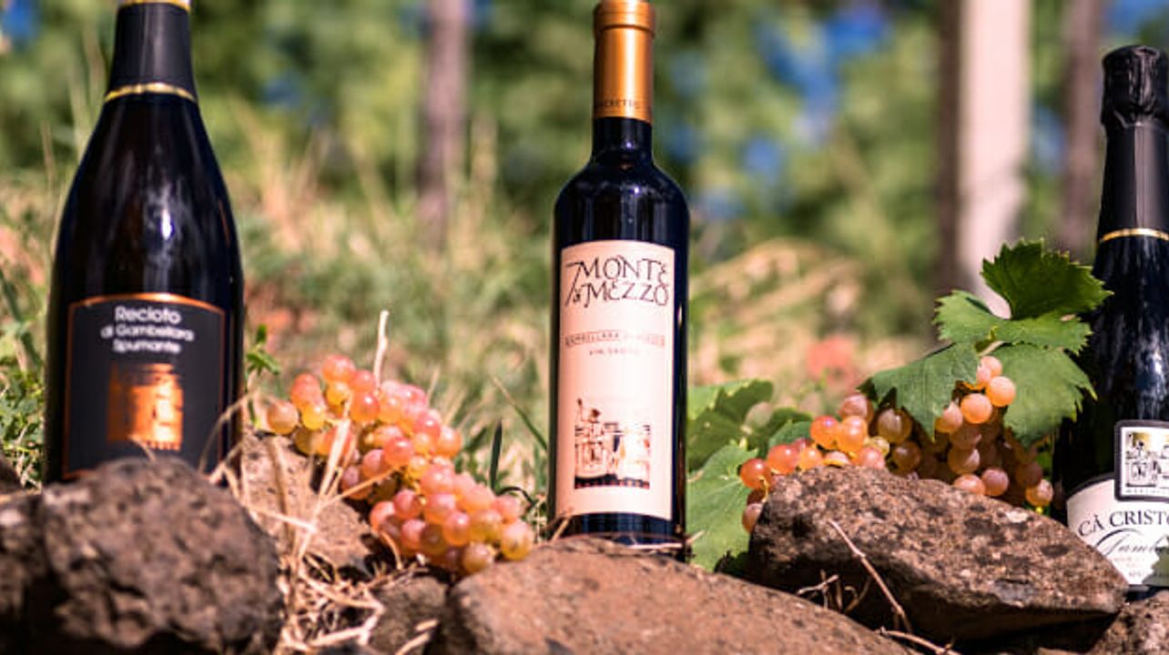 Dégustation de vins et visite à Marchetto