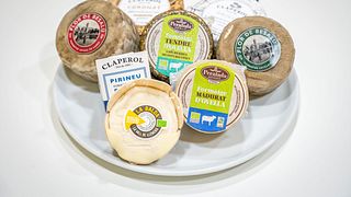 Abbinamento vino e formaggio presso Agricola De Garriguella I Rabos