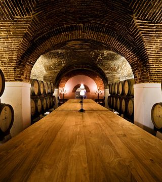 Visite de la cave Cartuxa et dégustation de vins