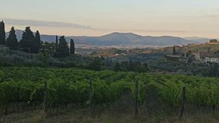 Weinprobe und Besichtigung in der Fattoria Di Bacchereto