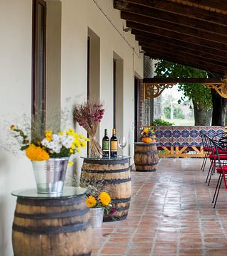 Tour del vino e degustazione nella cantina Vaziani