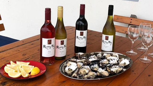 Degustação de vinhos e tour na Rusty Fig Wines
