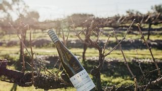 Jim Barry Wines