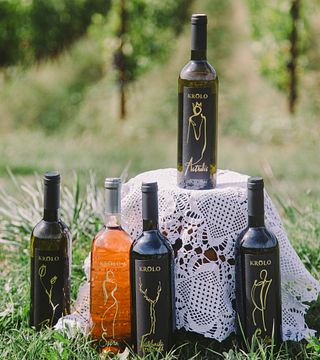 Degustazione di vini Ritorno alle origini presso l'azienda vinicola Krolo