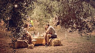 Picnic Under the Moonlight | Azienda Agricola La Vinarte