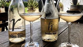 Cape South Coast Wine & Nature Tasting at Holden Manz
