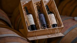 Degustazione e visita alla Casa dei Vini di Alluria 
