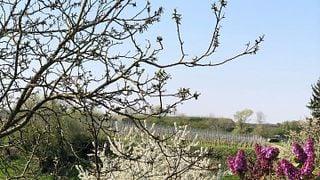 Weingut Hunn