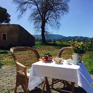 Quédate en Oasis Winery Home en Tenute Pacelli