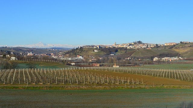 Weinprobe und Ernteerlebnis bei Azienda Agricola Criolin di Claudio Canavero