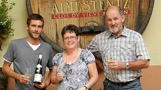 Wine tasting and tour at Domaine Aimé Stentz