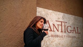 Antigal Winery & Estates
