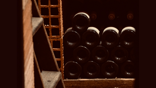 Vinprovning och rundtur på Domaine Olivier Pithon