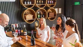 Terapia Rossa | Tour del vino nella penisola di Mornington (tour privato)