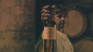 Dégustation de vins et visite chez Steras Wines