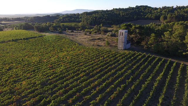 Château St. Jacques D'Albas