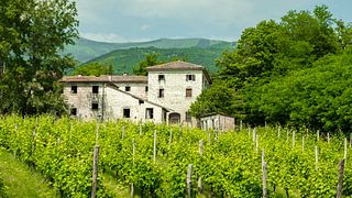 Cantina Fasol Menin