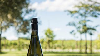 Gisborne Wine & Gourmet Escape at Matawhero