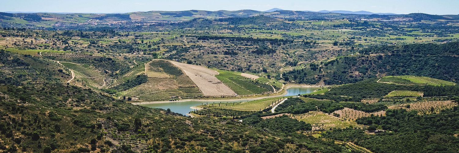Vineadouro Area