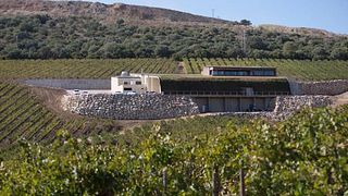 Visit and Tasting at Bodega Tesalia