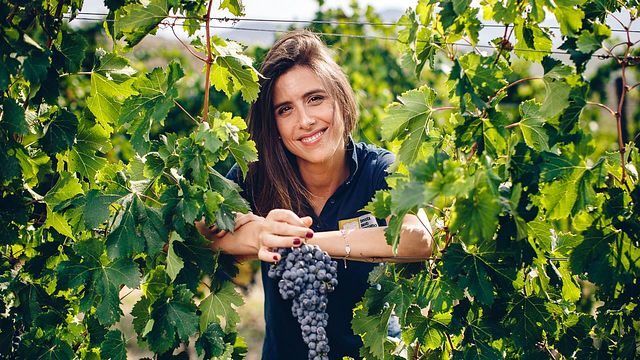 Wine tasting and tour at Tenuta Santi Giacomo e Filippo