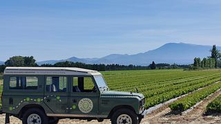 Safari del vino in Land Rover | Domaine Fontaine Du Clos