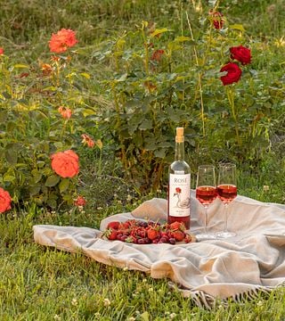 Ofertas especiales de Chateau Buera