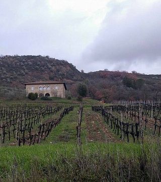 Degustação de vinhos e tour na vinícola Murogrosso