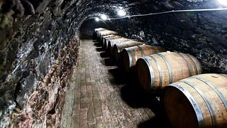 Upper Hungary's Sweetest Tokaj Wine & Vineyard Tour
