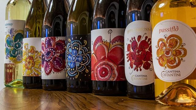 Cantina Costantini: 3-Degustação de Vinhos e Pratos Locais