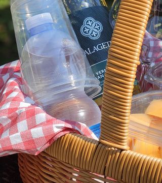 Picnic among the rows of Vernaccia di San Gimignano vines