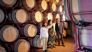 Visita con degustación “Retrospectiva Marchsale” – Bolgheri