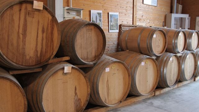 Piedmont Wine Journey at Santa Clelia