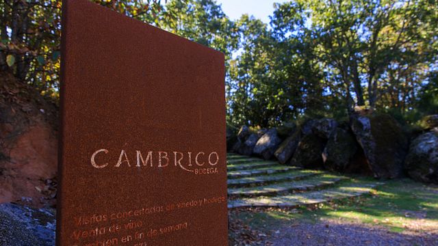 BODEGA CÁMBRICO